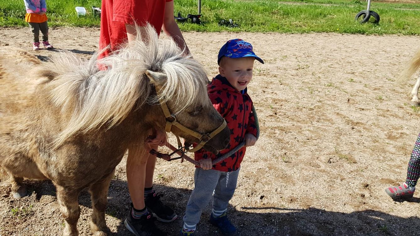 Máme rádi zvířata: Koníci - 23