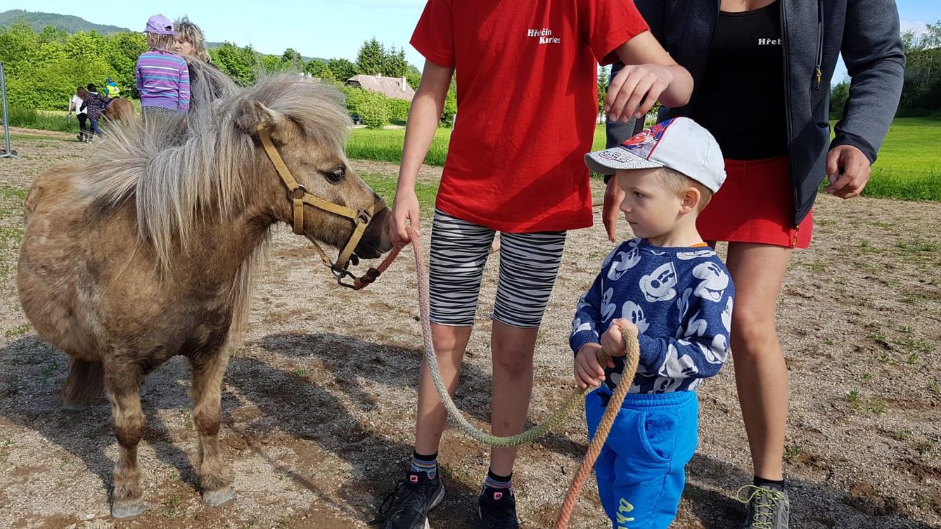 Máme rádi zvířata: Koníci - 24