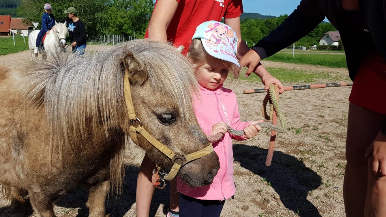 Máme rádi zvířata: Koníci - 25