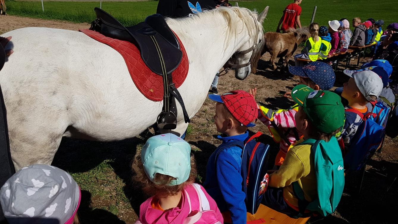 Máme rádi zvířata: Koníci - 26