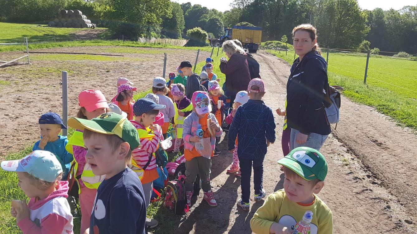 Máme rádi zvířata: Koníci - 27