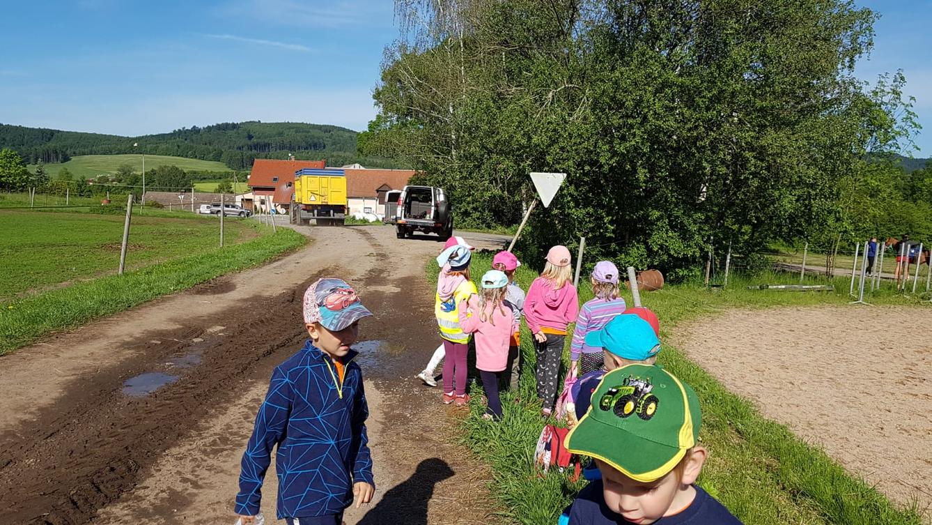 Máme rádi zvířata: Koníci - 29