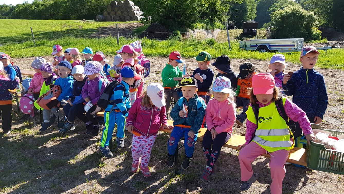 Máme rádi zvířata: Koníci - 32