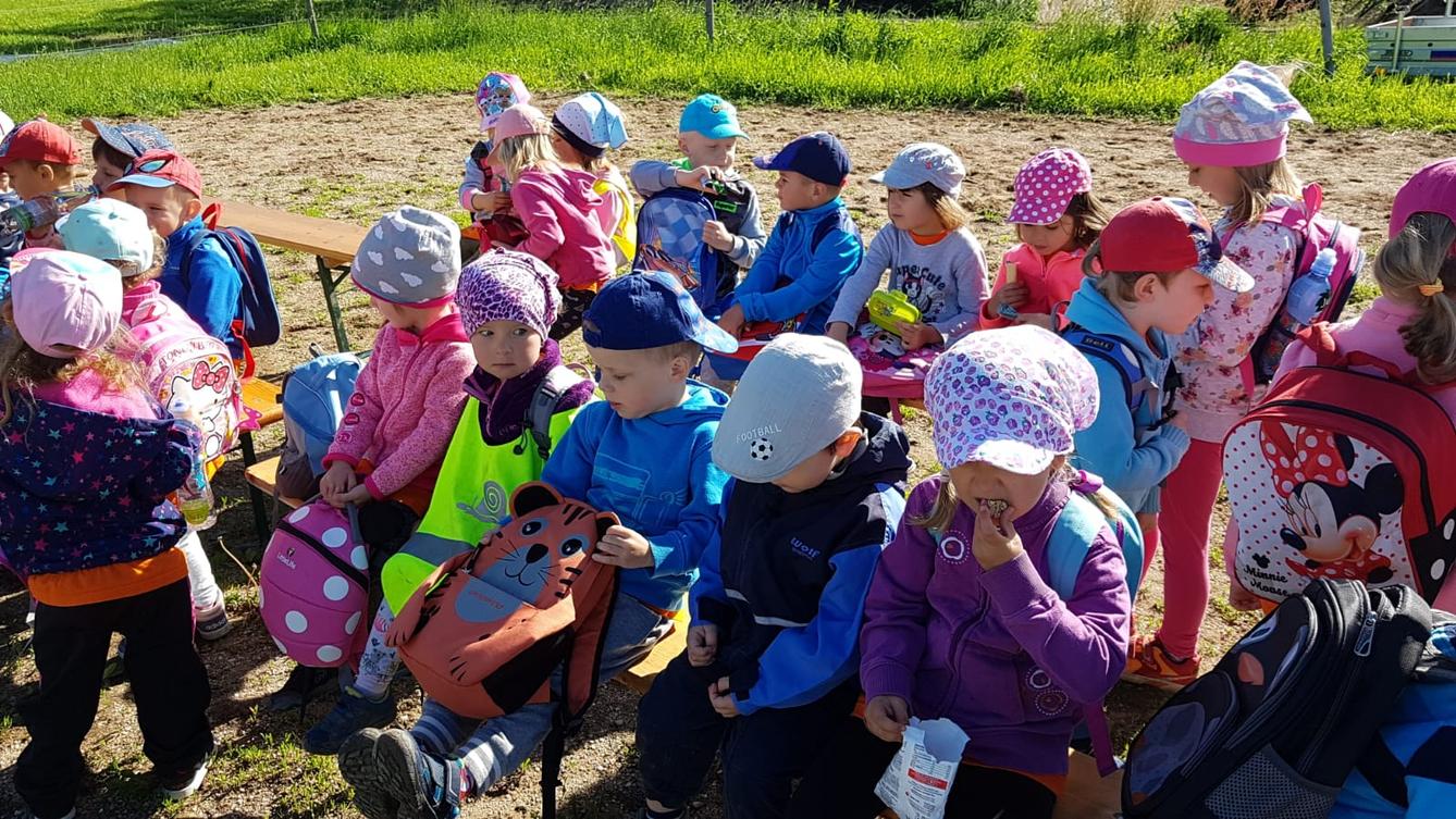 Máme rádi zvířata: Koníci - 35