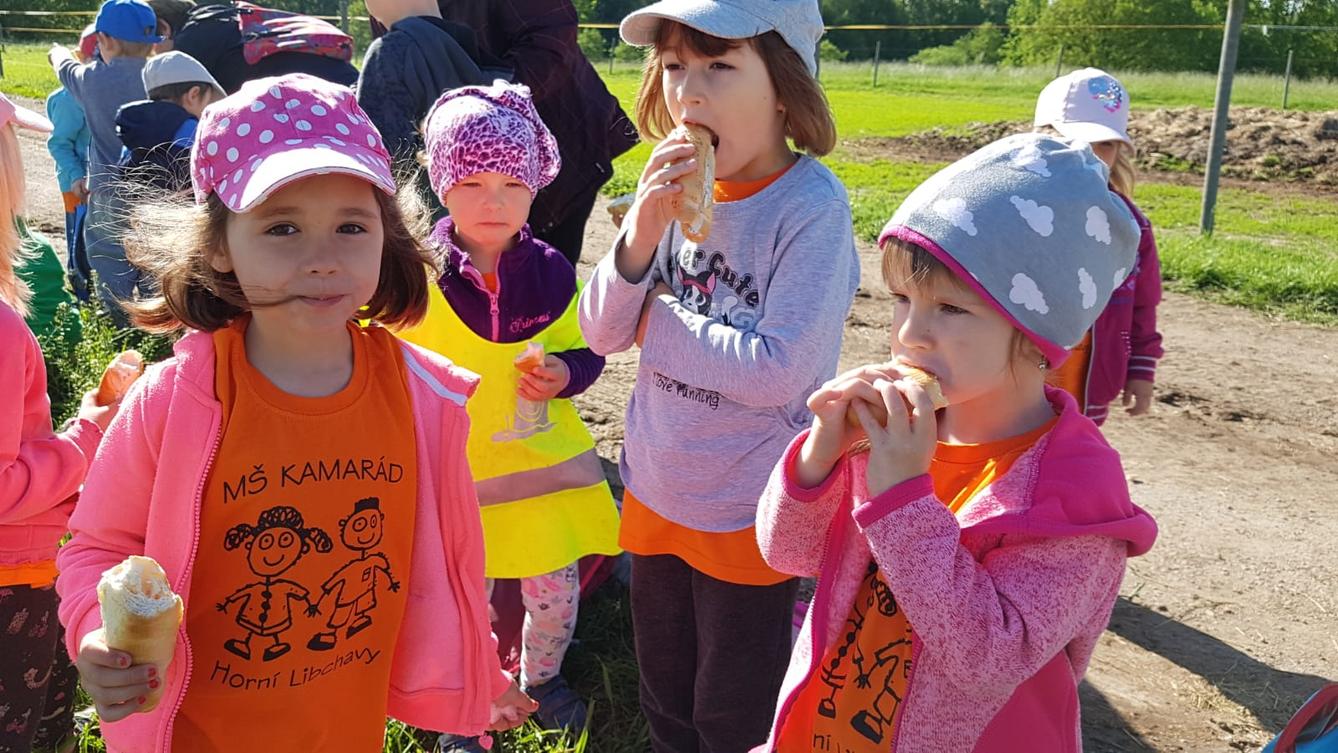 Máme rádi zvířata: Koníci - 36