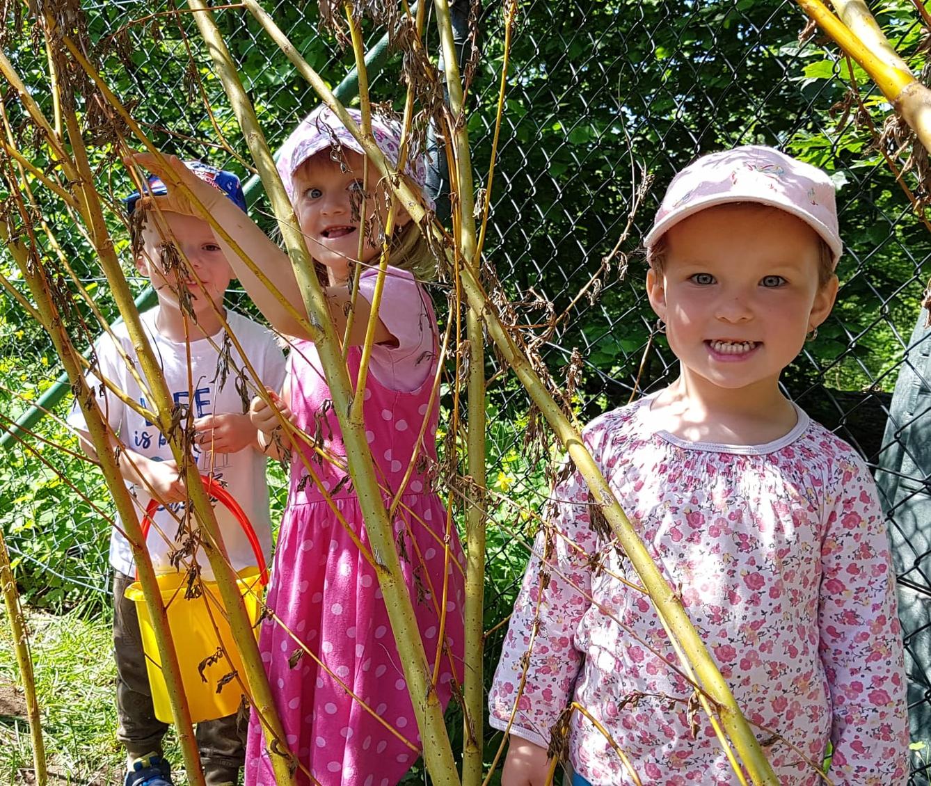 Užíváme zahrady - 31