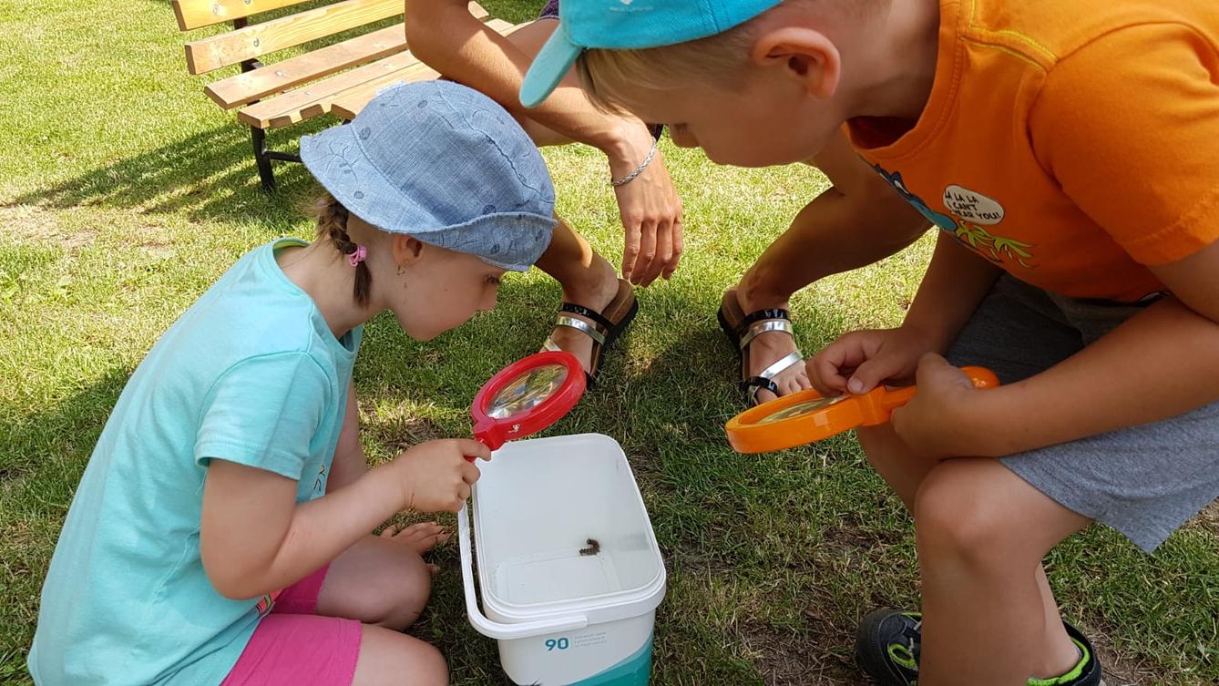 "máme rádi zvířata" - "co se nám to objevilo na zahradě?" - 1