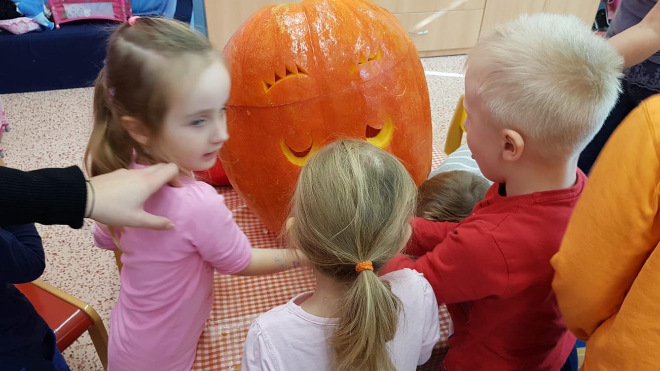 Klokánci: Dýňohrátky - 5