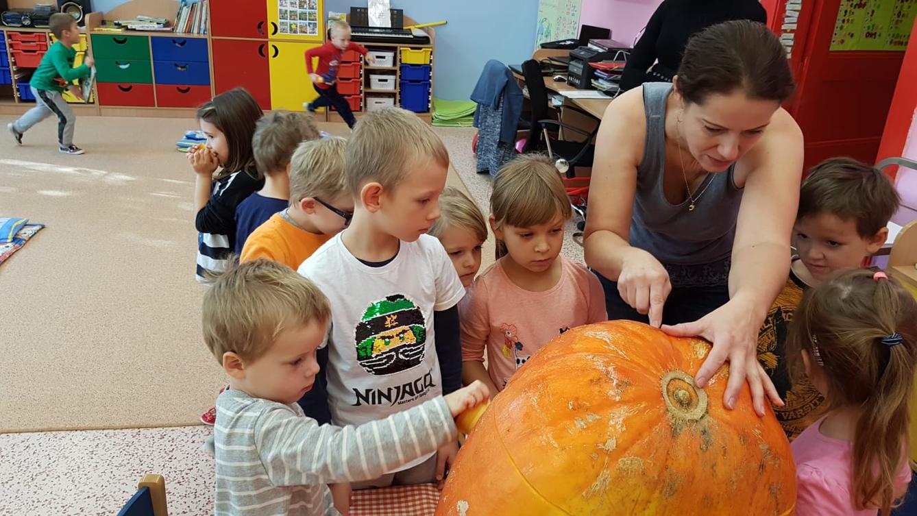 Klokánci: Dýňohrátky - 6