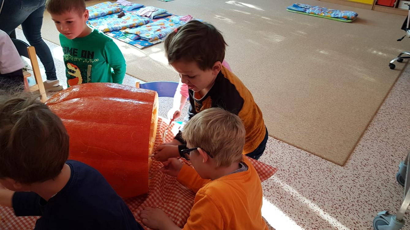 Klokánci: Dýňohrátky - 14