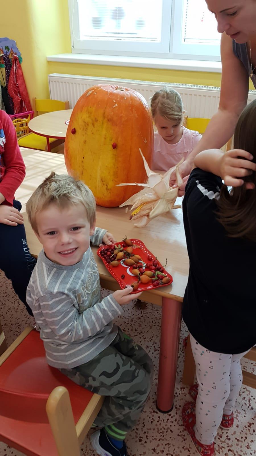 Klokánci: Dýňohrátky - 15