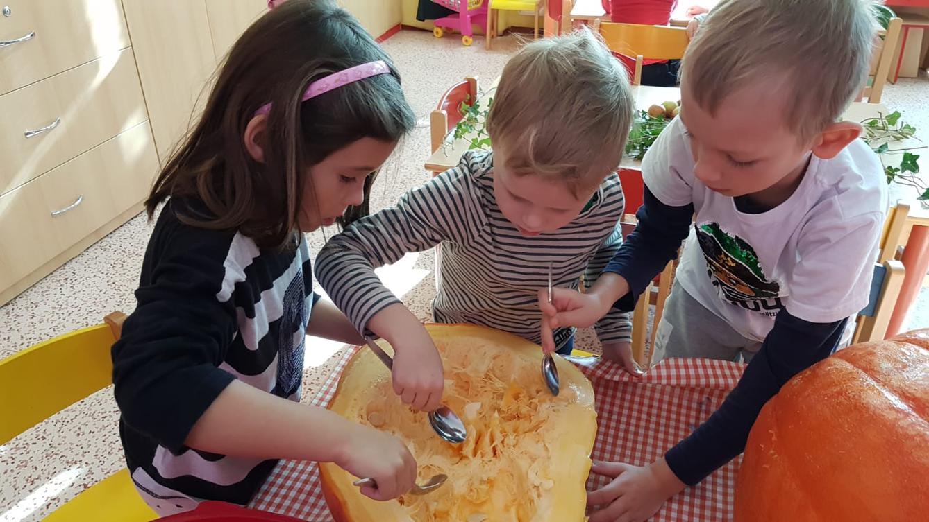 Klokánci: Dýňohrátky - 16