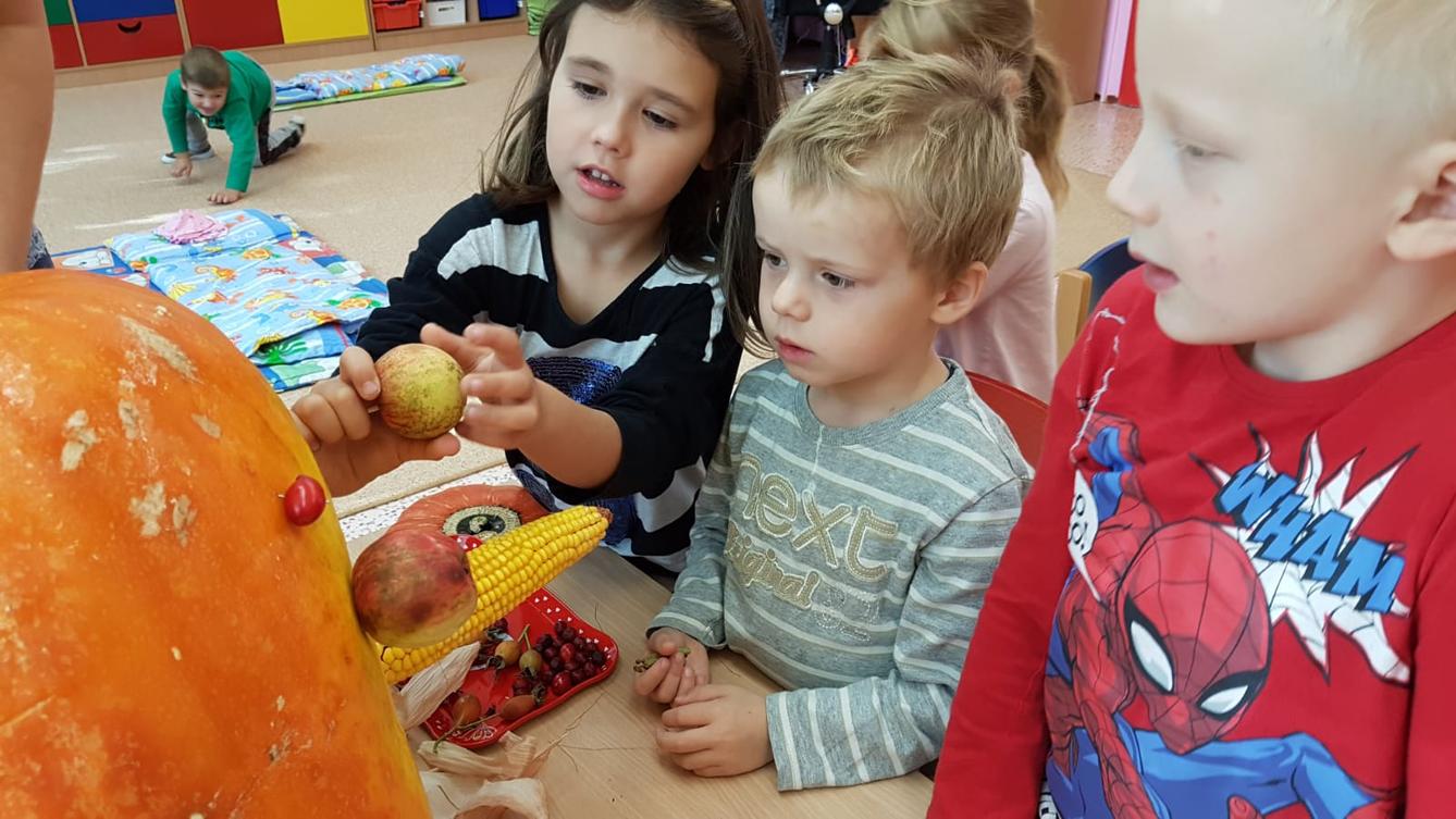 Klokánci: Dýňohrátky - 17