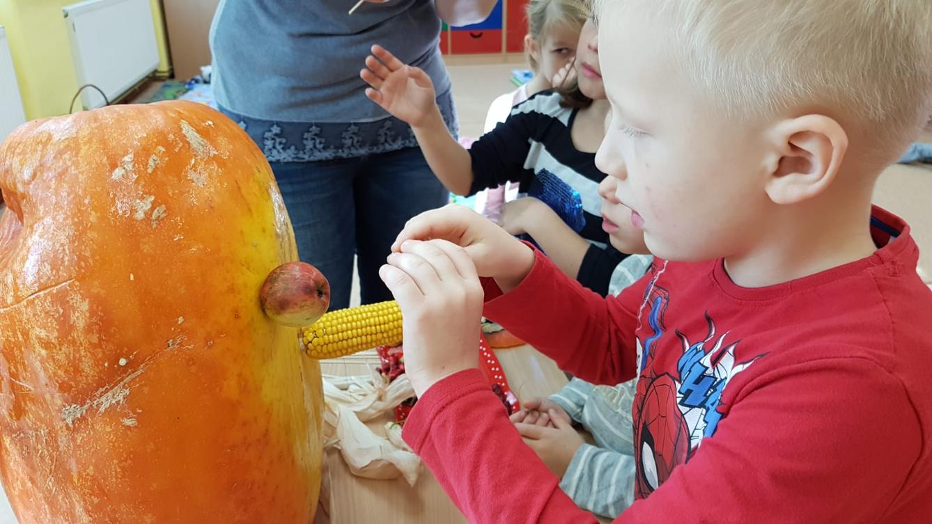 Klokánci: Dýňohrátky - 18