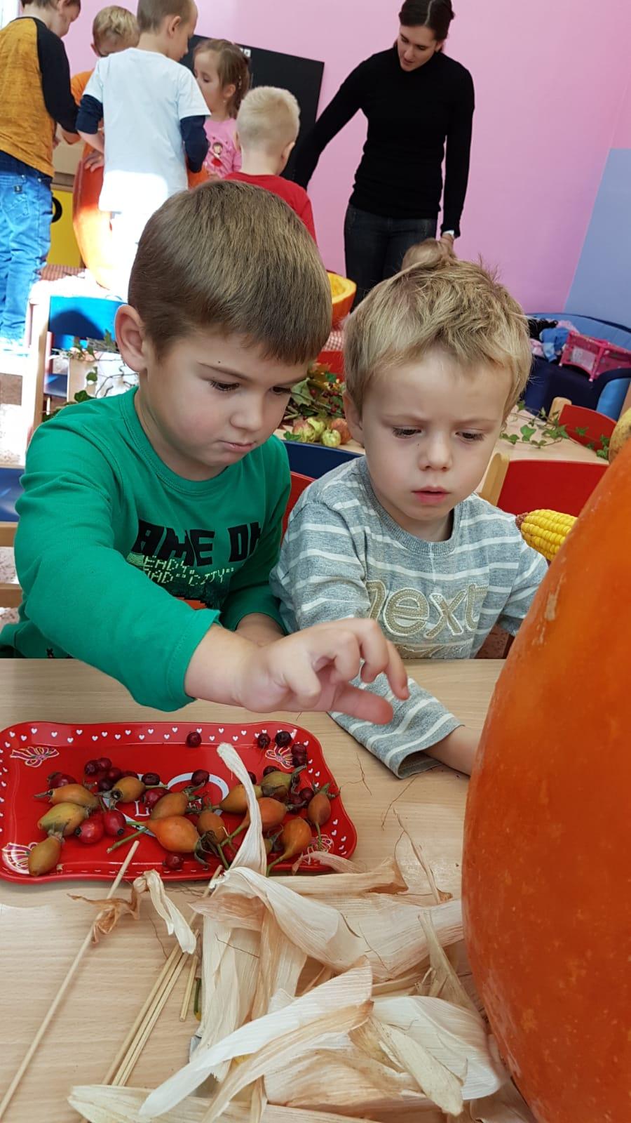 Klokánci: Dýňohrátky - 19