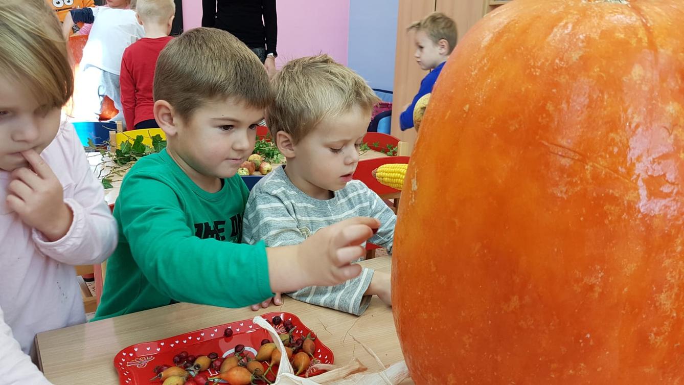 Klokánci: Dýňohrátky - 20