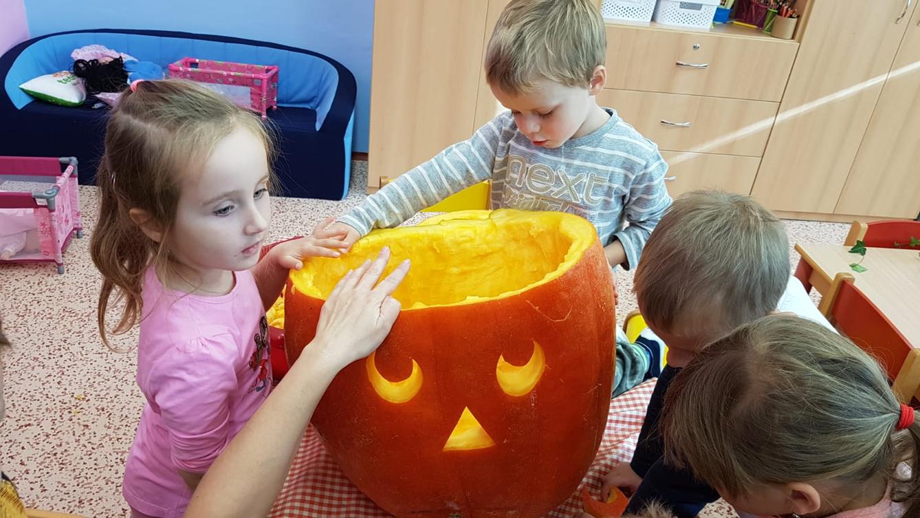 Klokánci: Dýňohrátky - 24