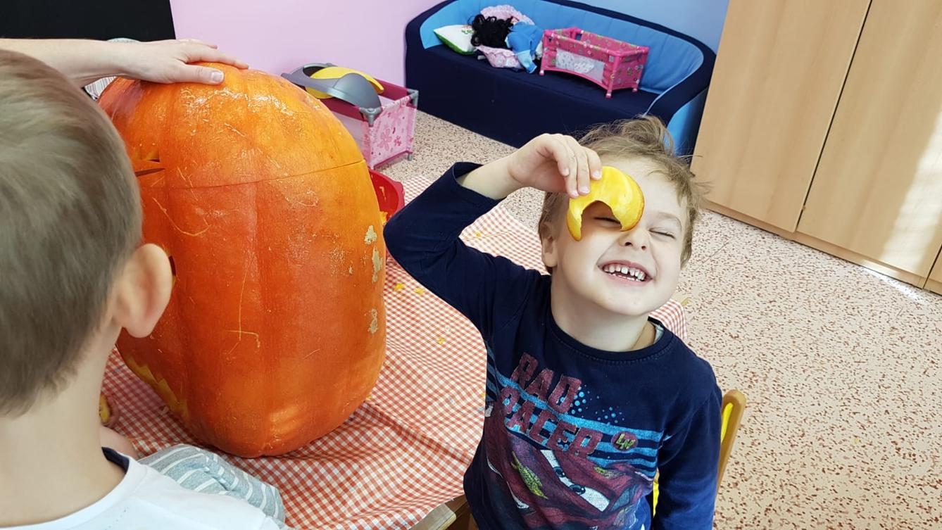 Klokánci: Dýňohrátky - 29