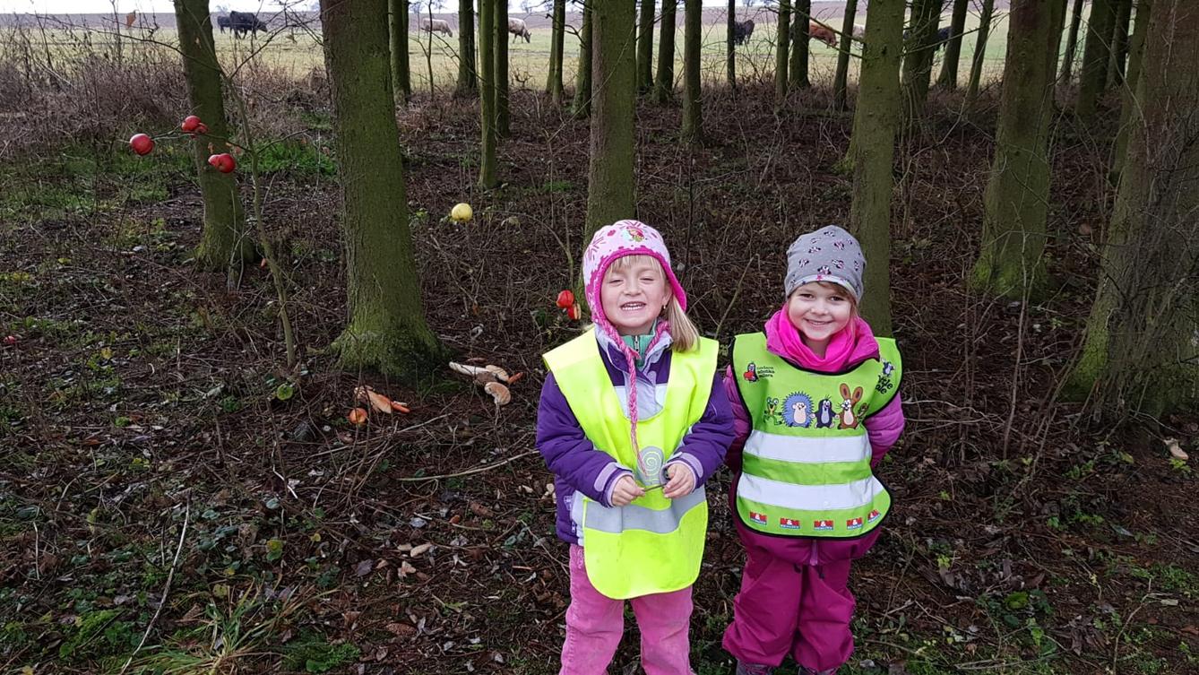 Vánoce pro zvířátka v lese - 2