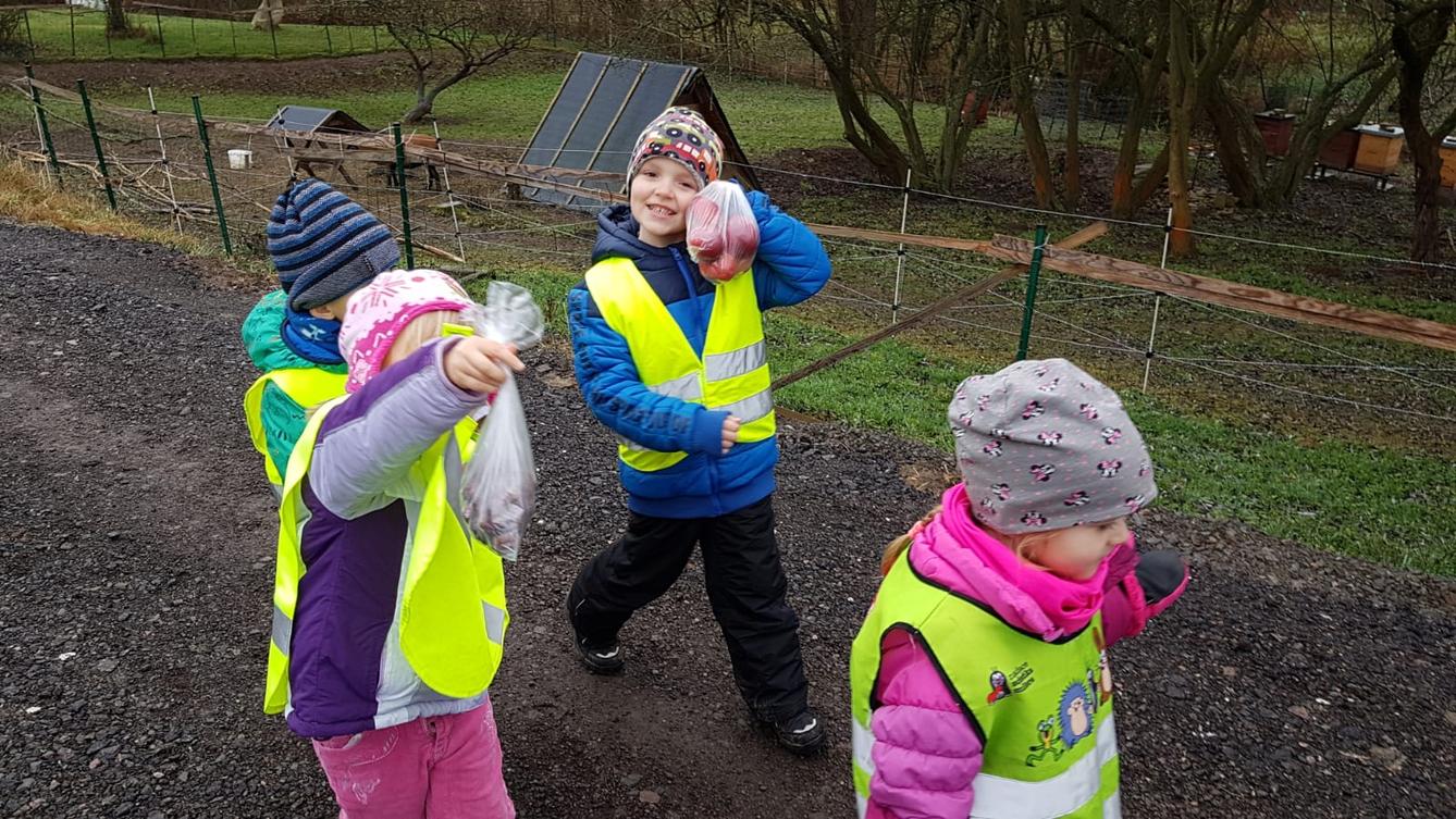 Vánoce pro zvířátka v lese - 3