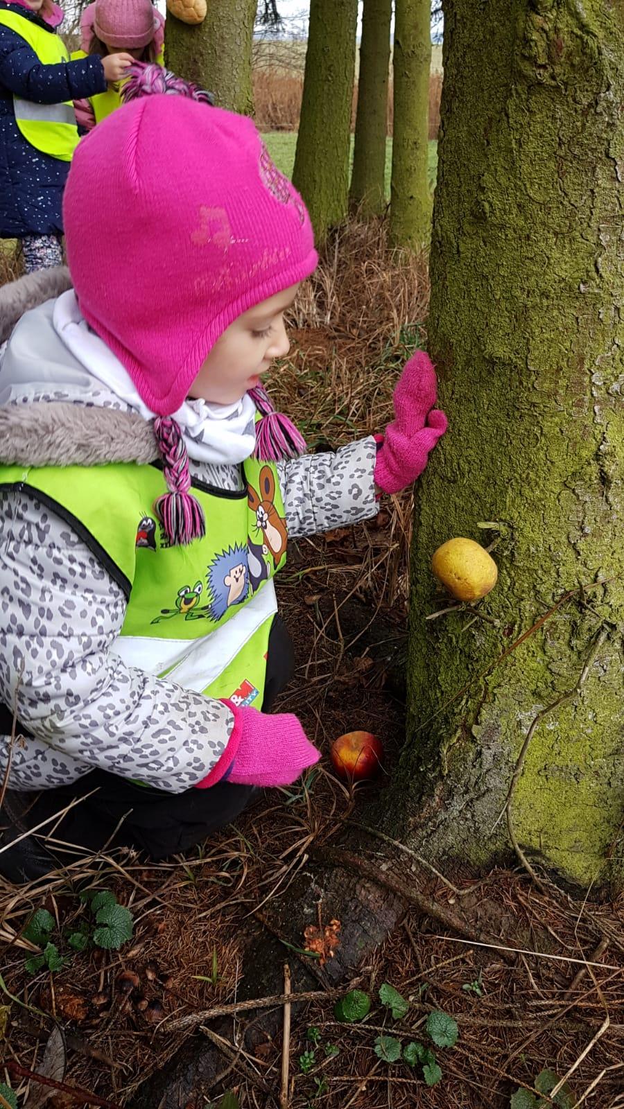 Vánoce pro zvířátka v lese - 4