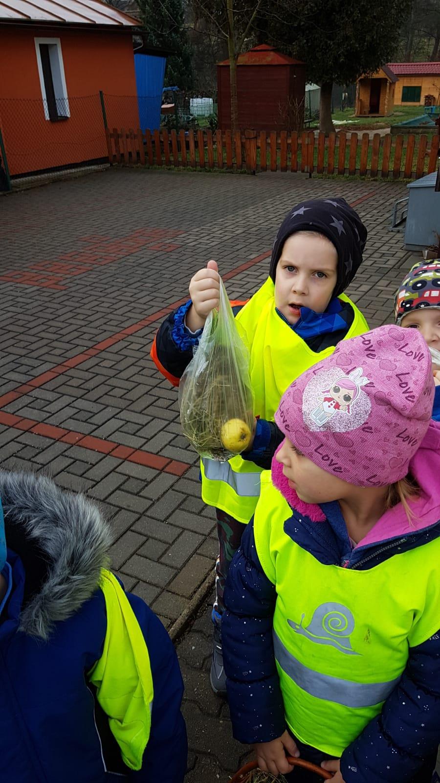 Vánoce pro zvířátka v lese - 7