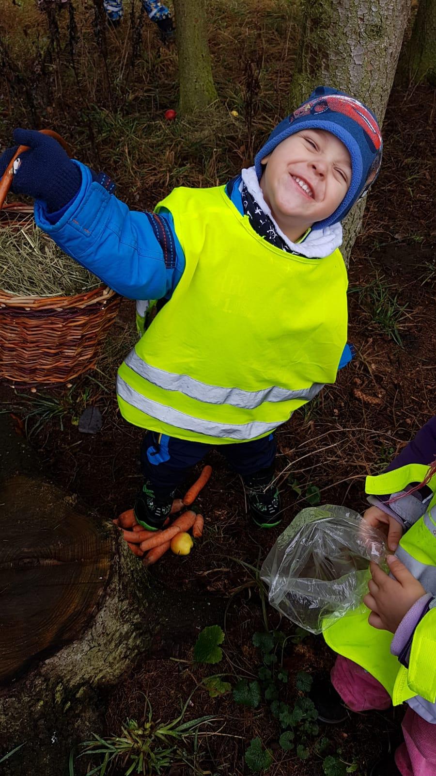 Vánoce pro zvířátka v lese - 8