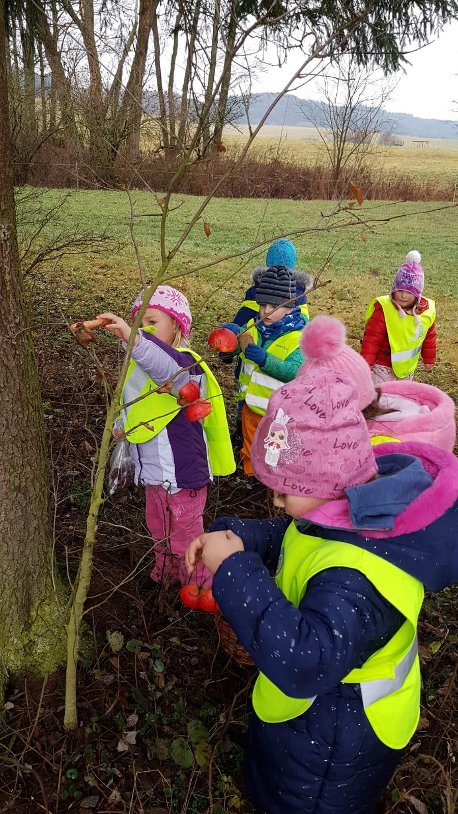 Vánoce pro zvířátka v lese - 9