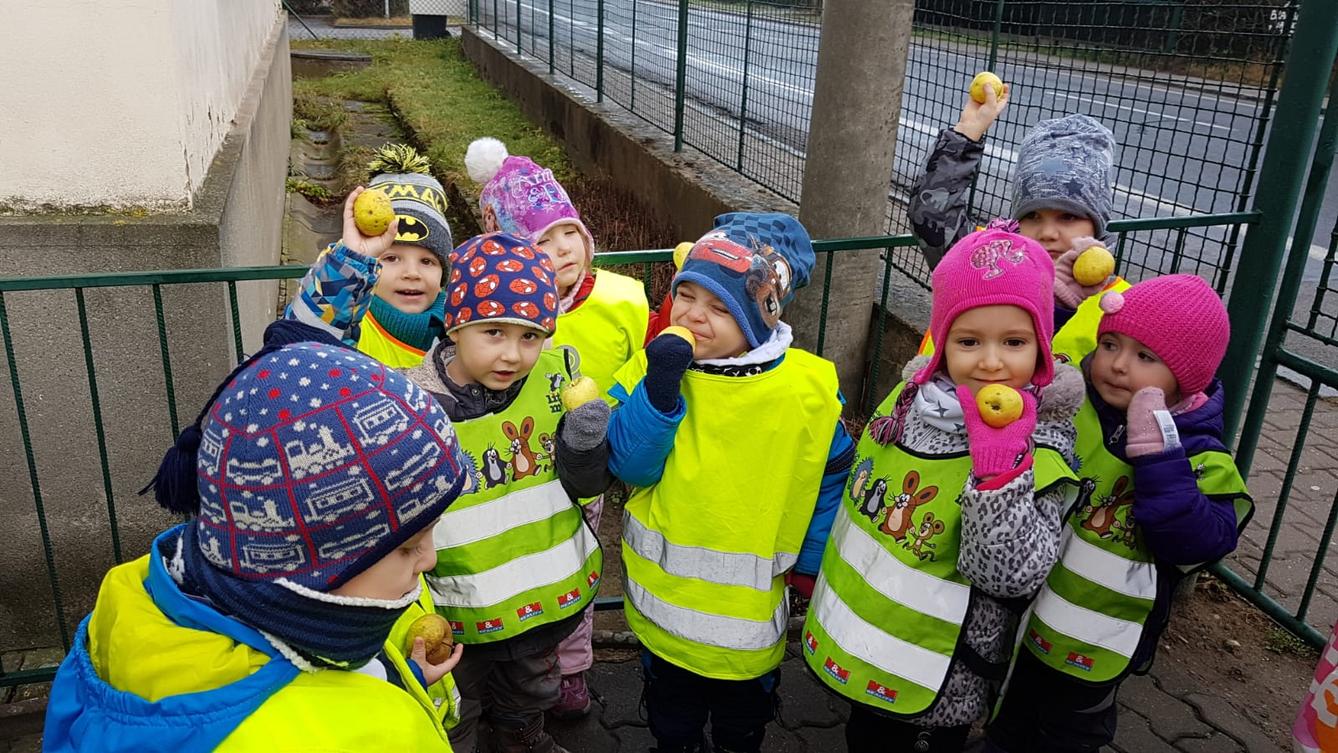 Vánoce pro zvířátka v lese - 11