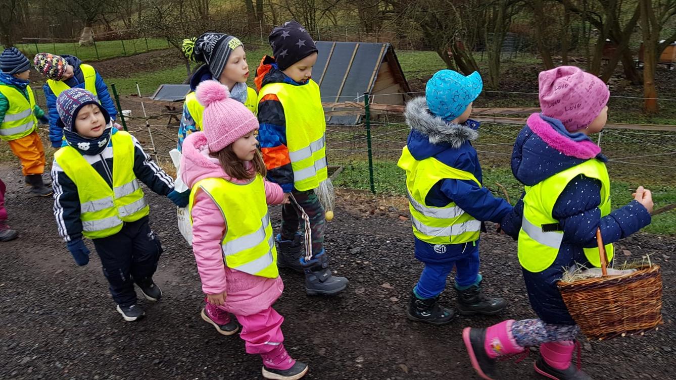 Vánoce pro zvířátka v lese - 12