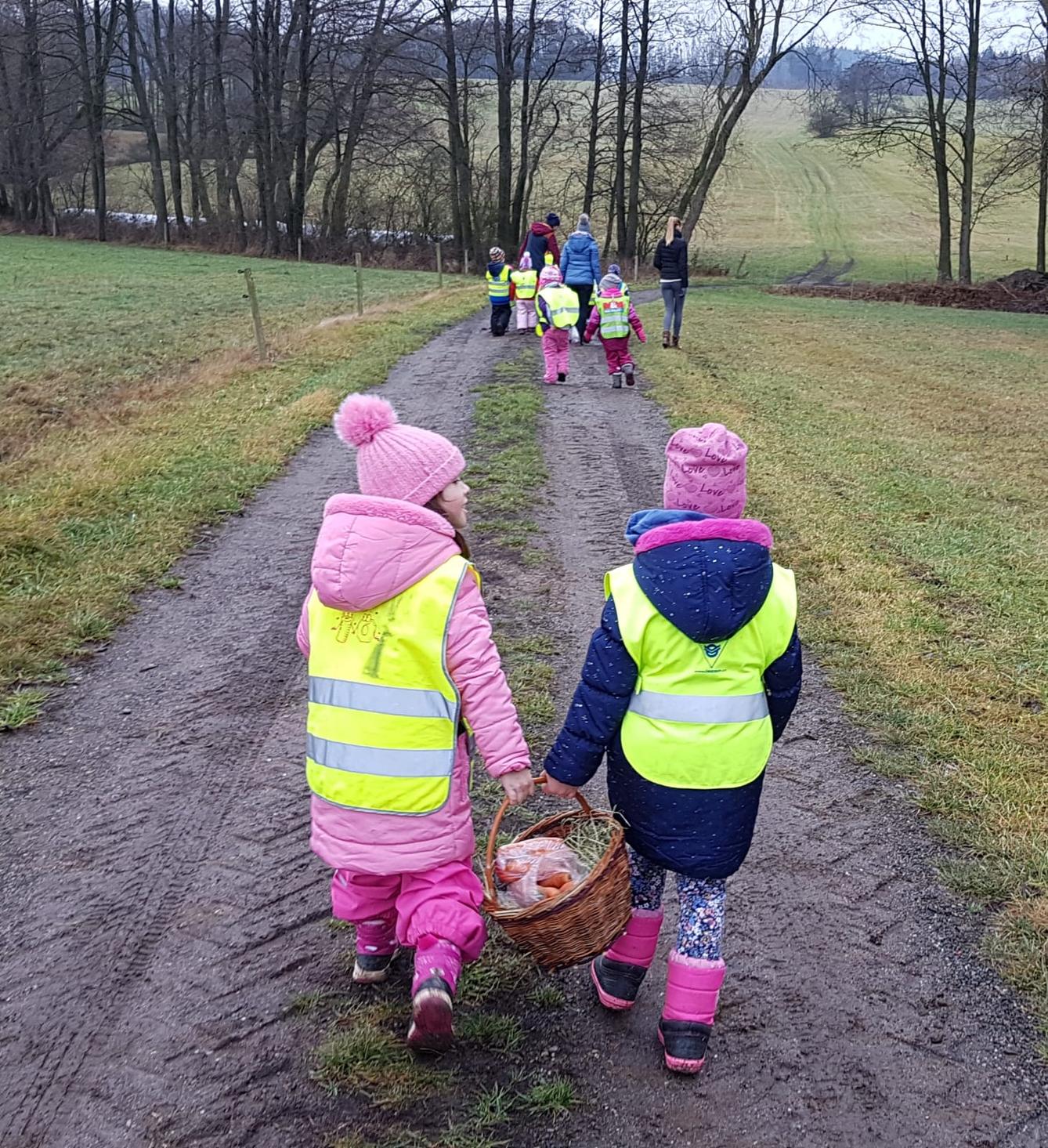Vánoce pro zvířátka v lese - 14