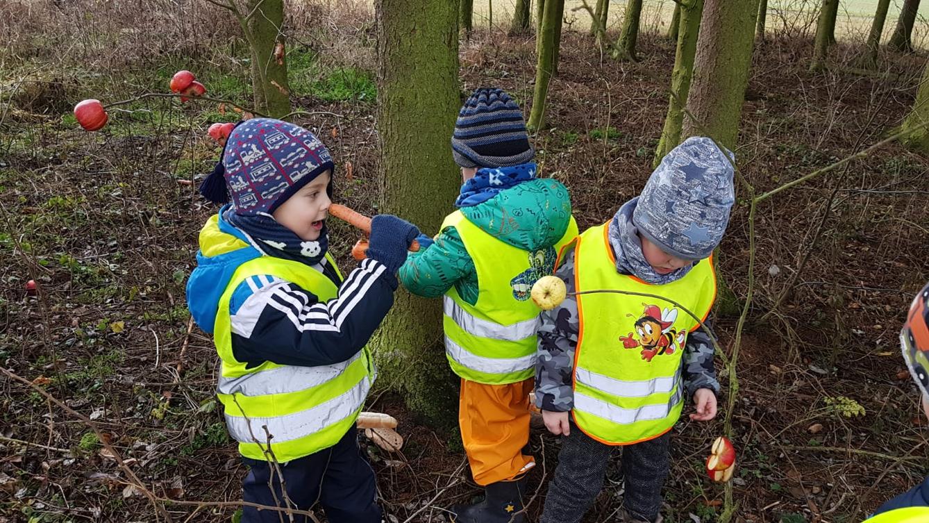 Vánoce pro zvířátka v lese - 16