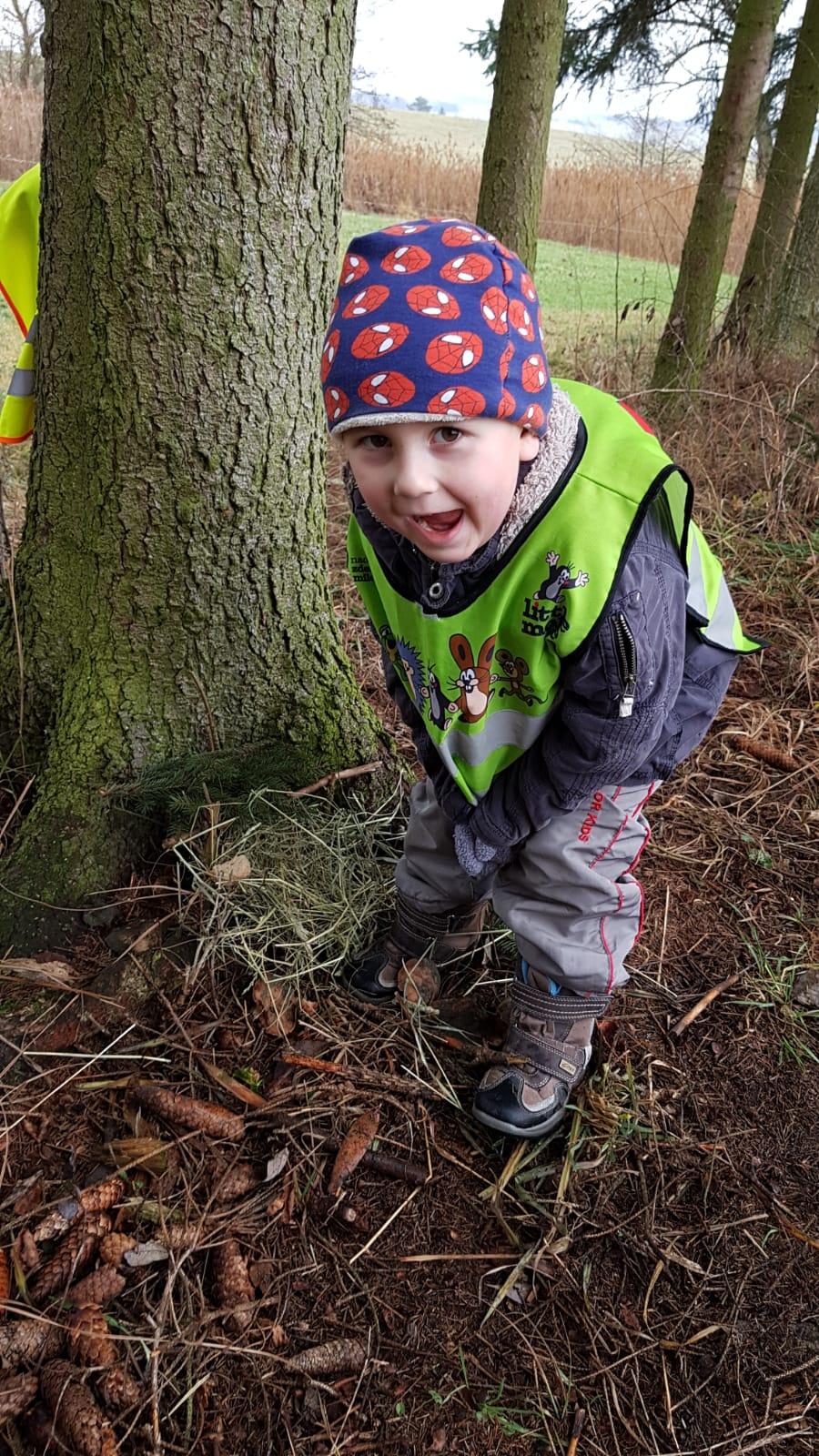 Vánoce pro zvířátka v lese - 17