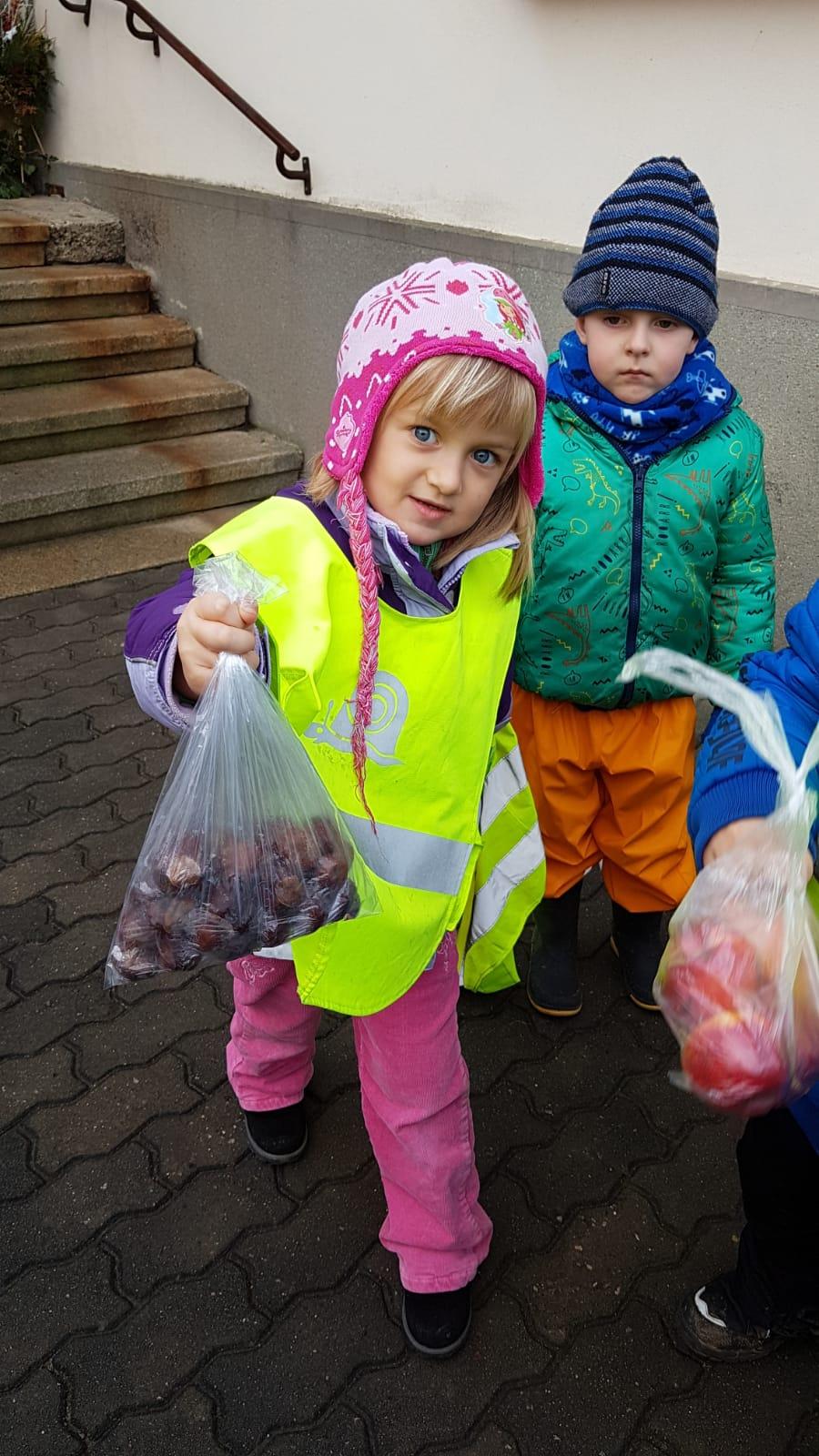 Vánoce pro zvířátka v lese - 19