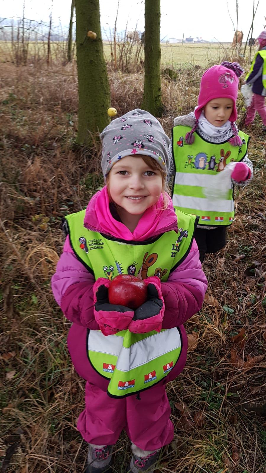 Vánoce pro zvířátka v lese - 20