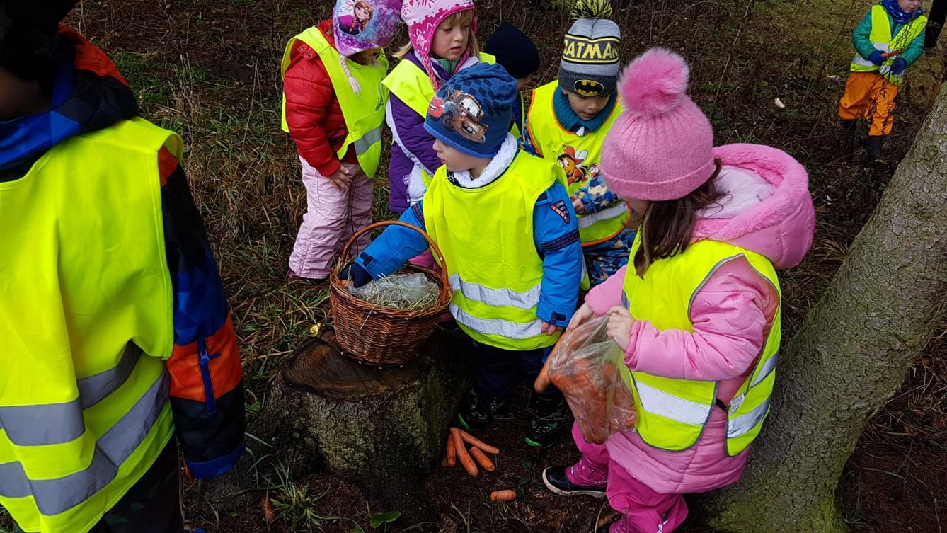 Vánoce pro zvířátka v lese - 22