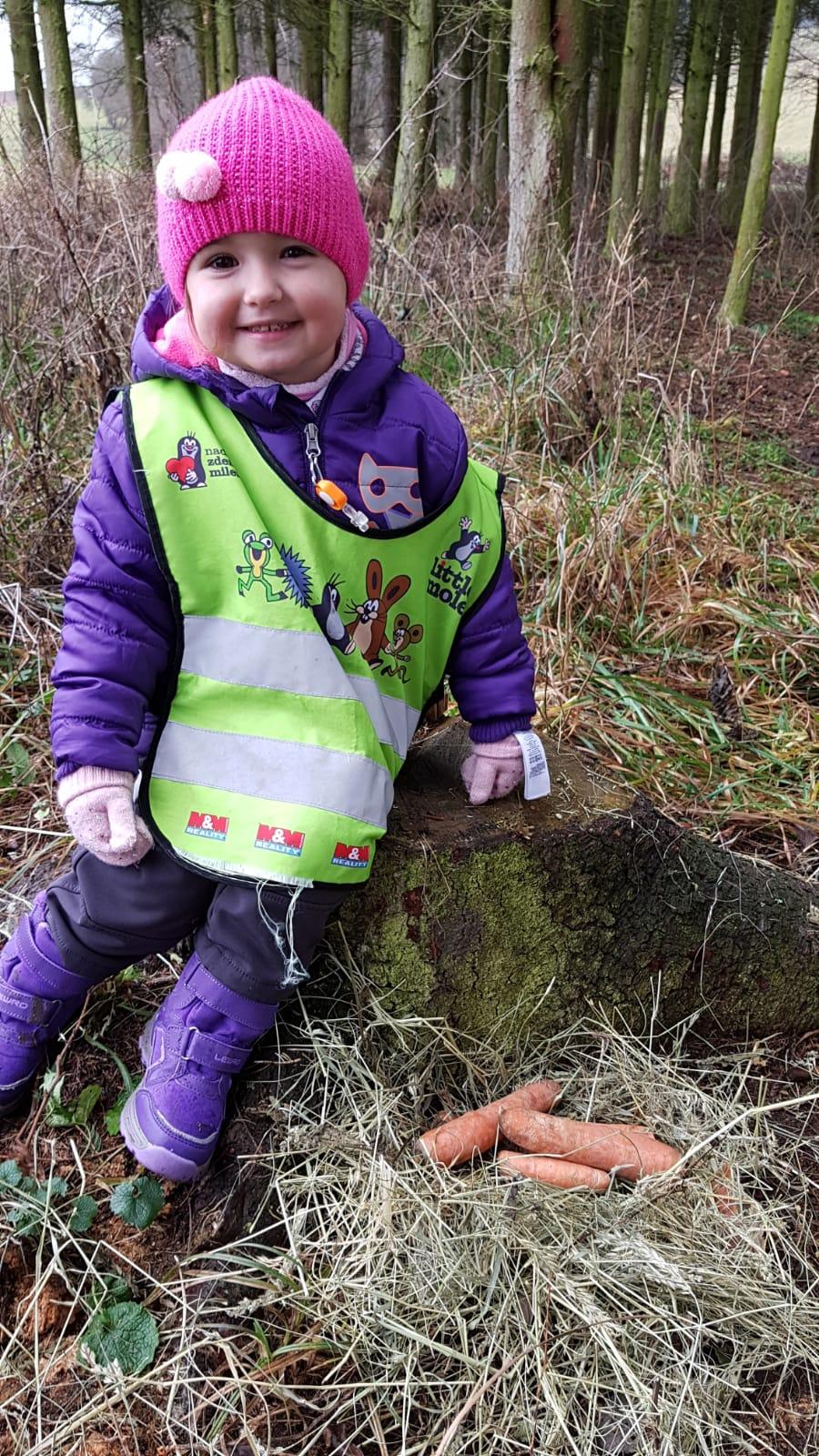 Vánoce pro zvířátka v lese - 23