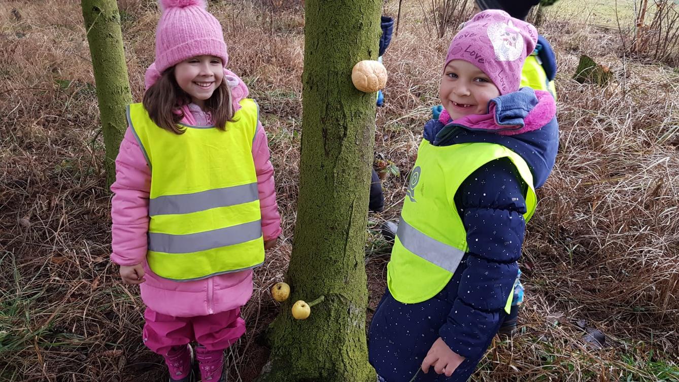 Vánoce pro zvířátka v lese - 24