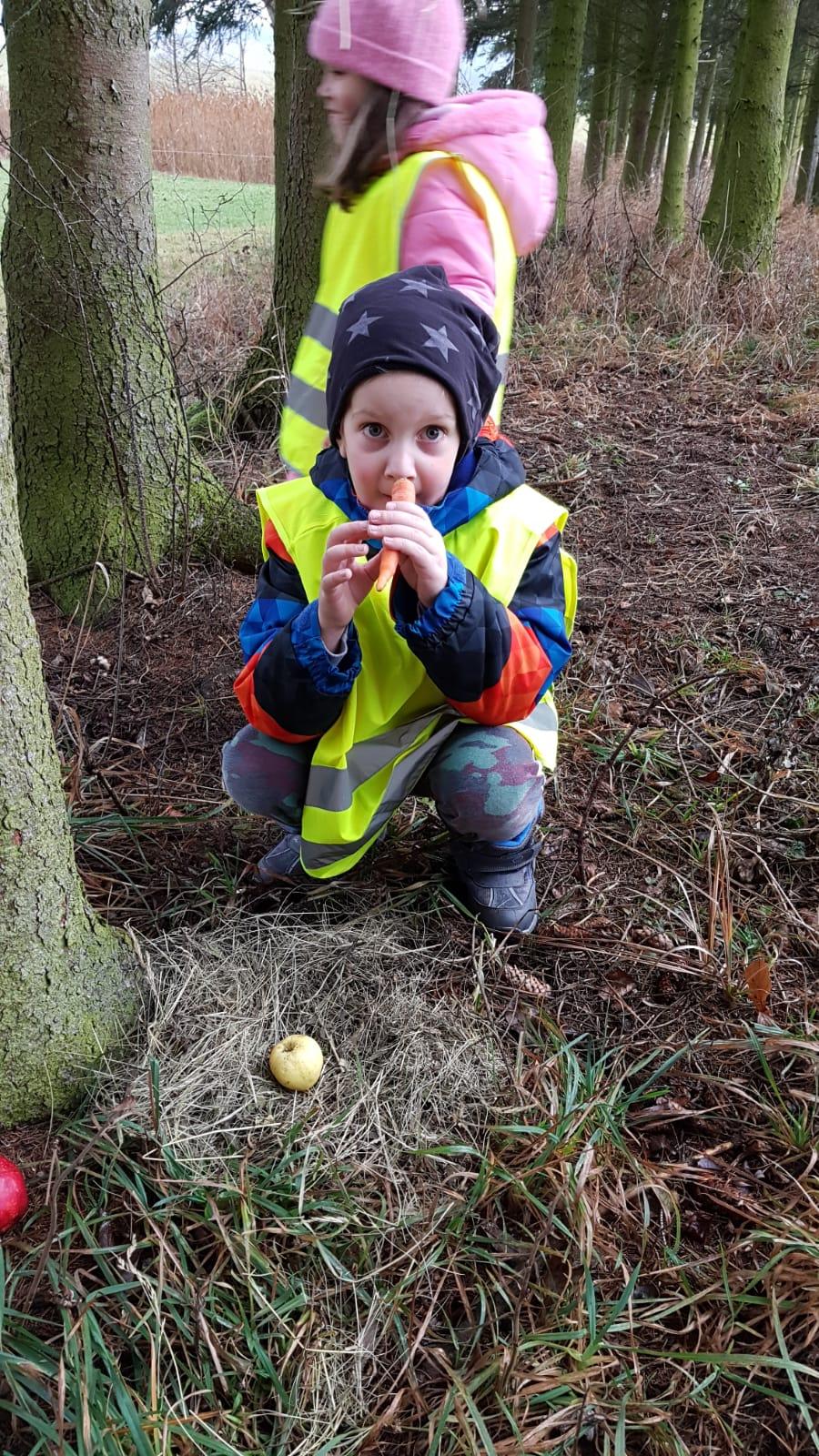 Vánoce pro zvířátka v lese - 25