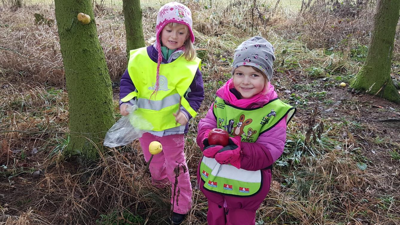 Vánoce pro zvířátka v lese - 27