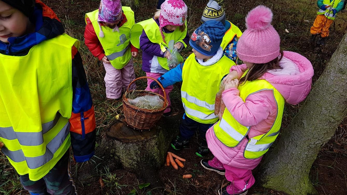 Vánoce pro zvířátka v lese - 29