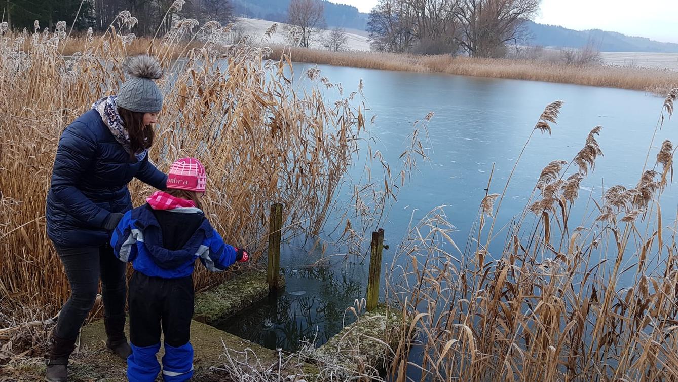 Klokánci a jejich zimní výlety do přírody - 5