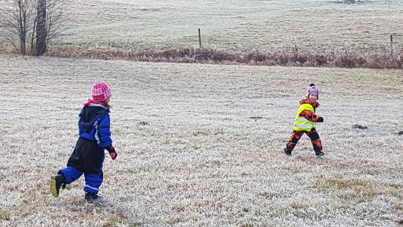 Klokánci a jejich zimní výlety do přírody - 11