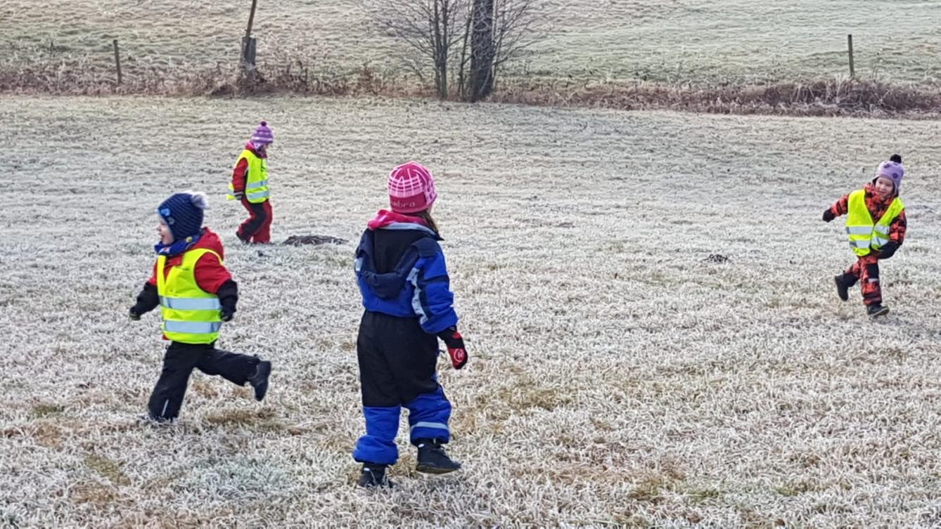 Klokánci a jejich zimní výlety do přírody - 12