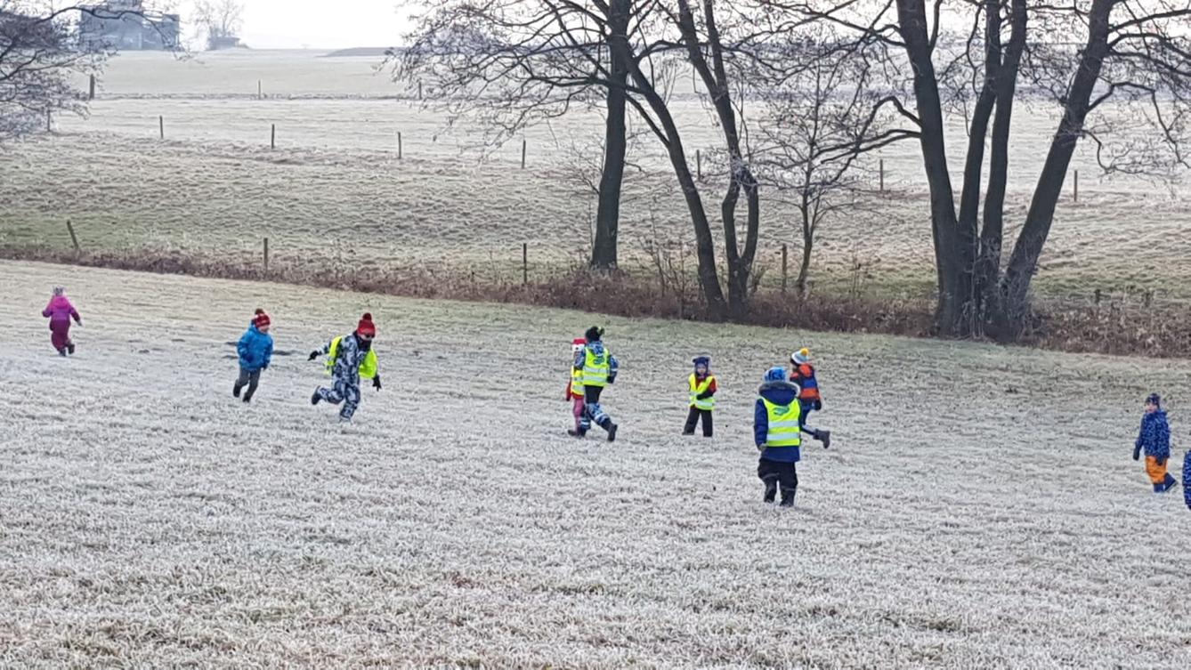 Klokánci a jejich zimní výlety do přírody - 14