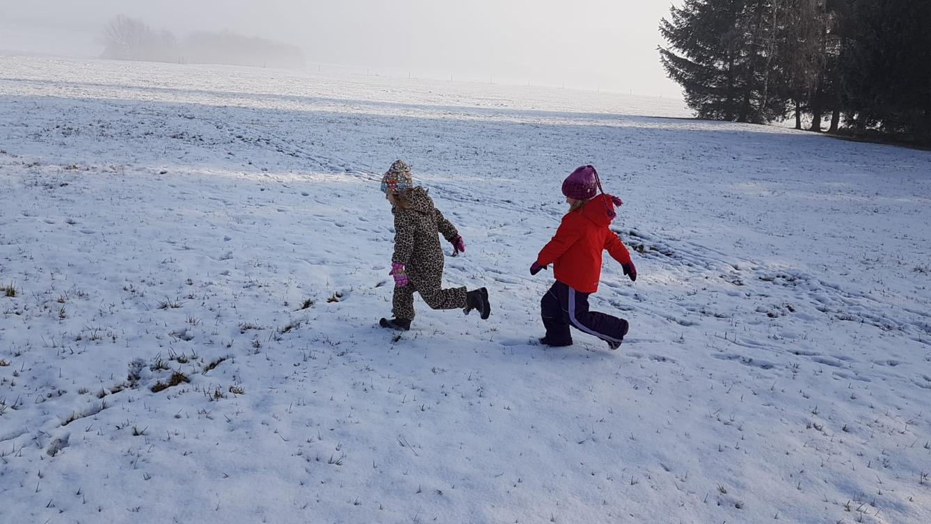 Klokánci a jejich zimní výlety do přírody - 26