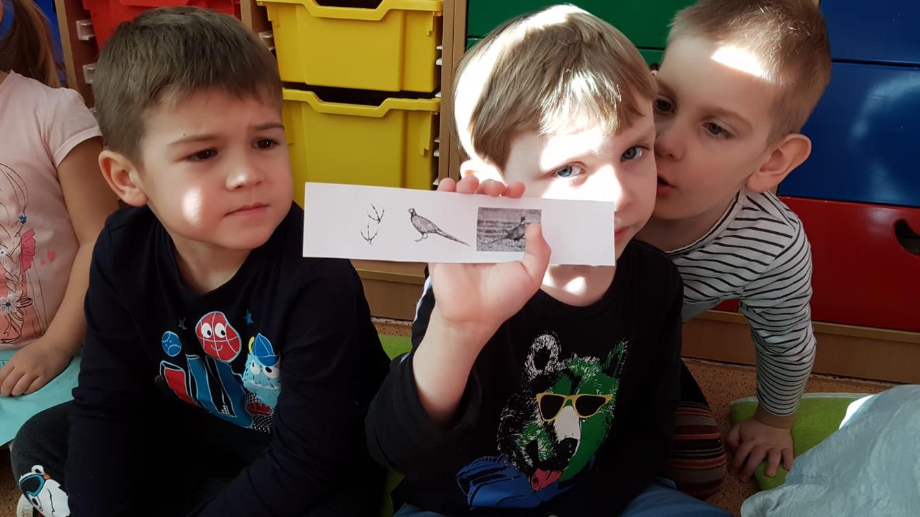 Hrátky se zvířátky (Klokánci) - 9