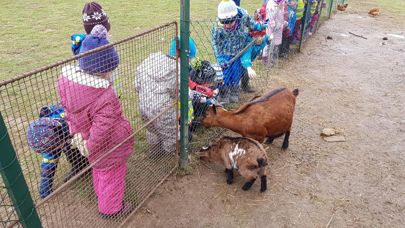 "Máme rádi zvířata" - vycházky za zvířátky - 2