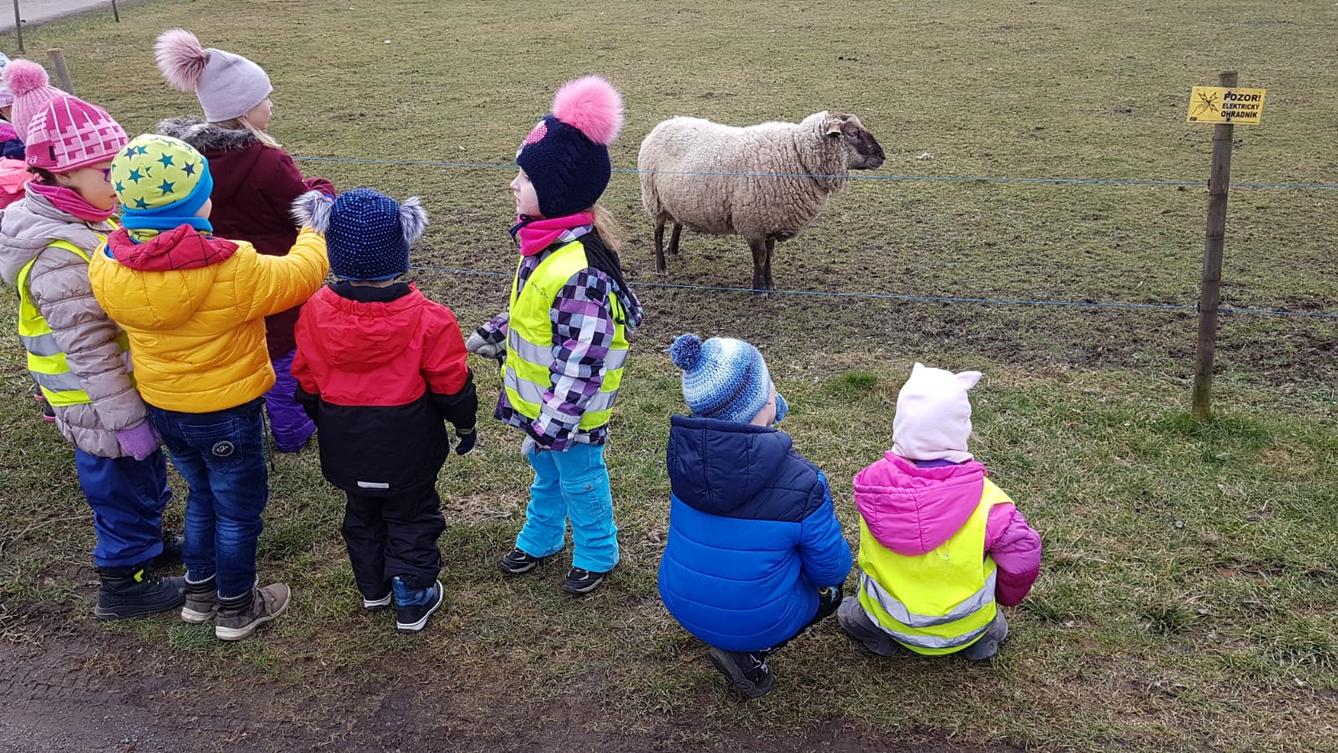 "Máme rádi zvířata" - vycházky za zvířátky - 11