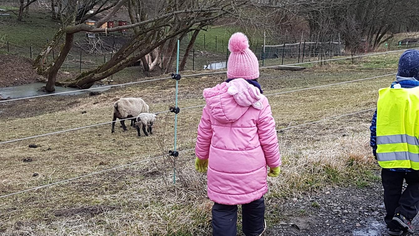 "Máme rádi zvířata" - vycházky za zvířátky - 12